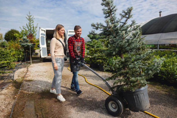 Best Aeration Services  in Fairfax, VA